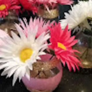 Meet your Posher, Corryna